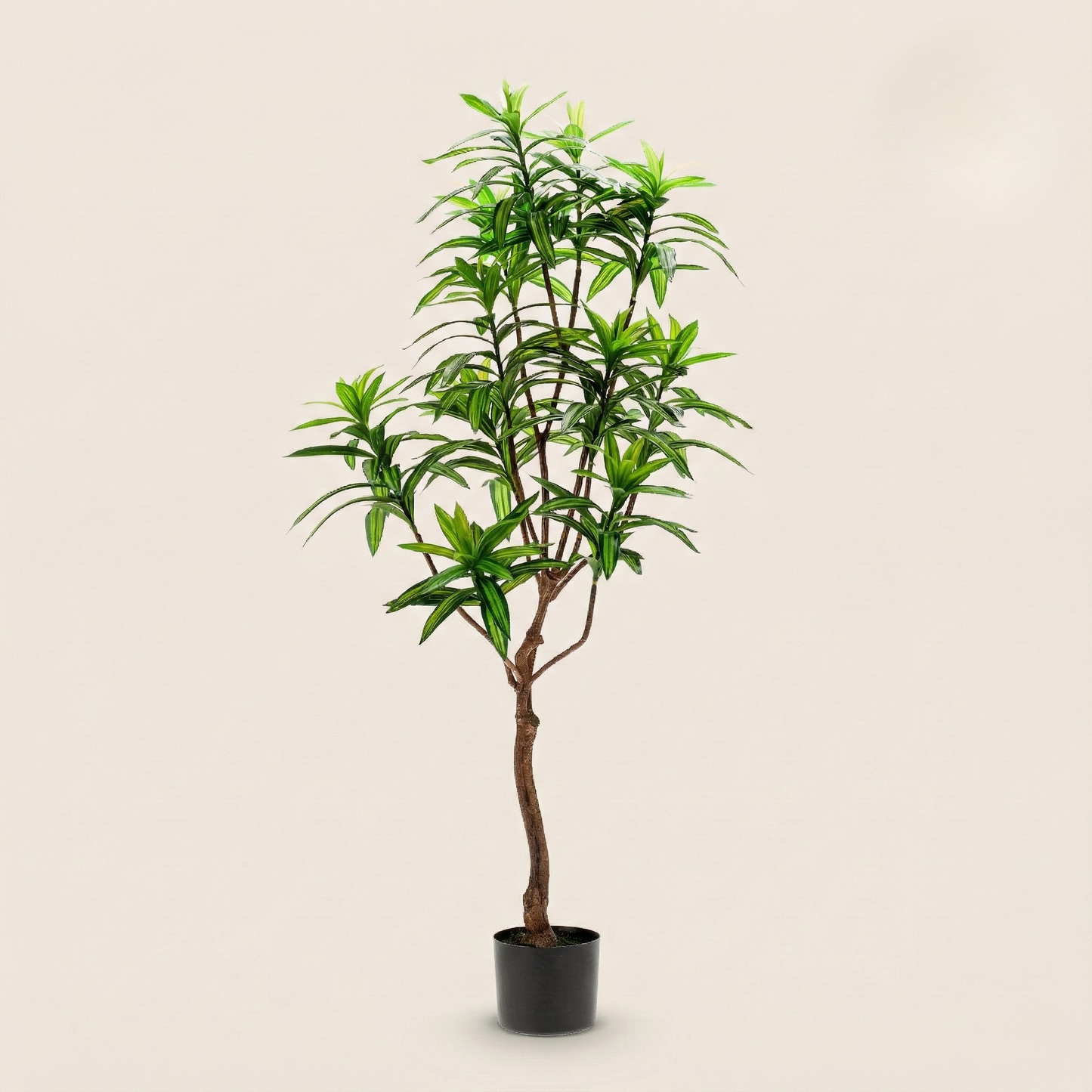 Kunstplant Dracaena (Drakenboom) - H 190 cm