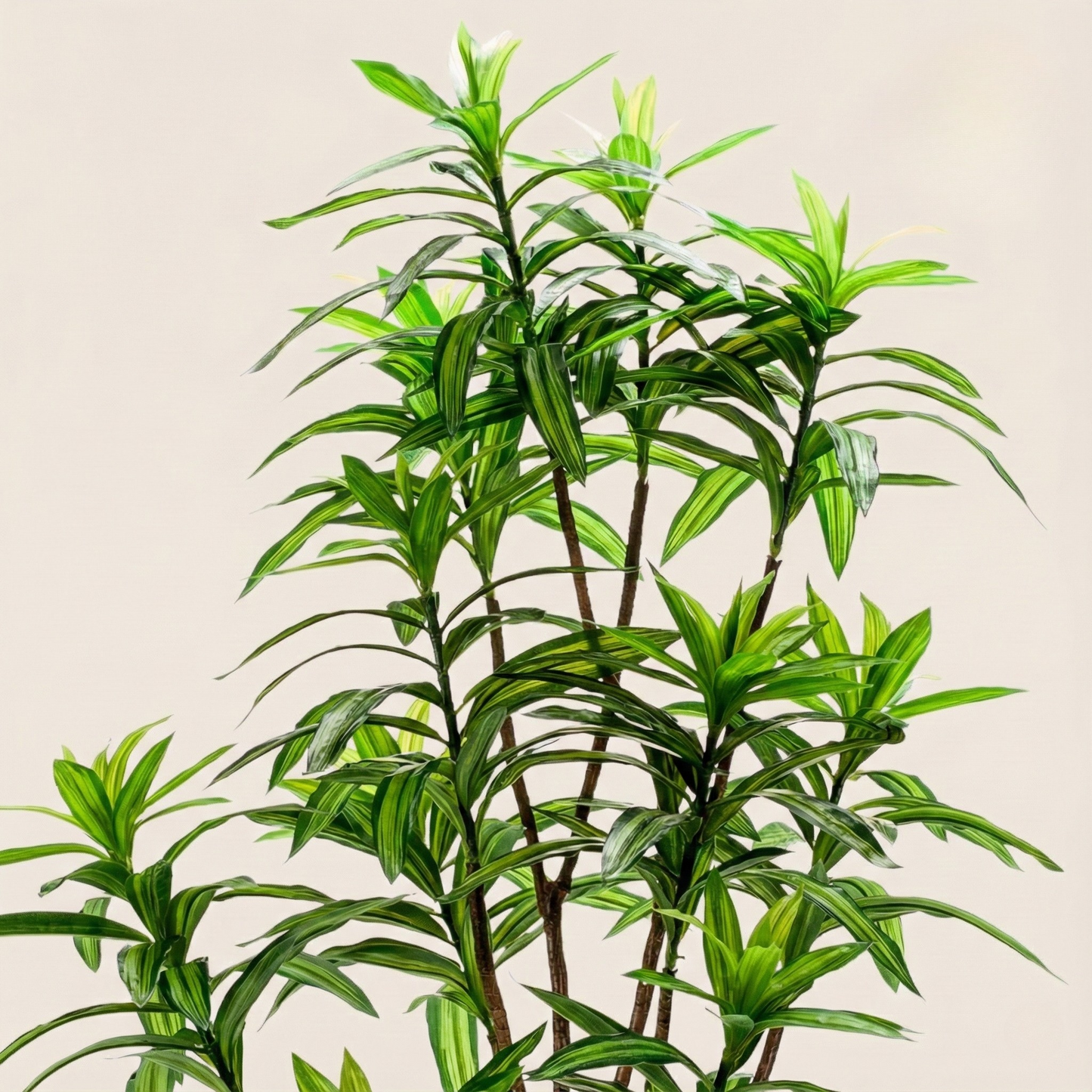 Kunstplant Dracaena (Drakenboom) - H 130 cm
