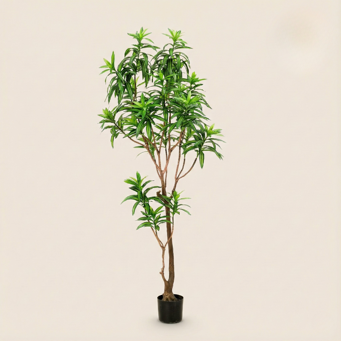 Kunstplant Dracaena (Drakenboom) - H 190 cm