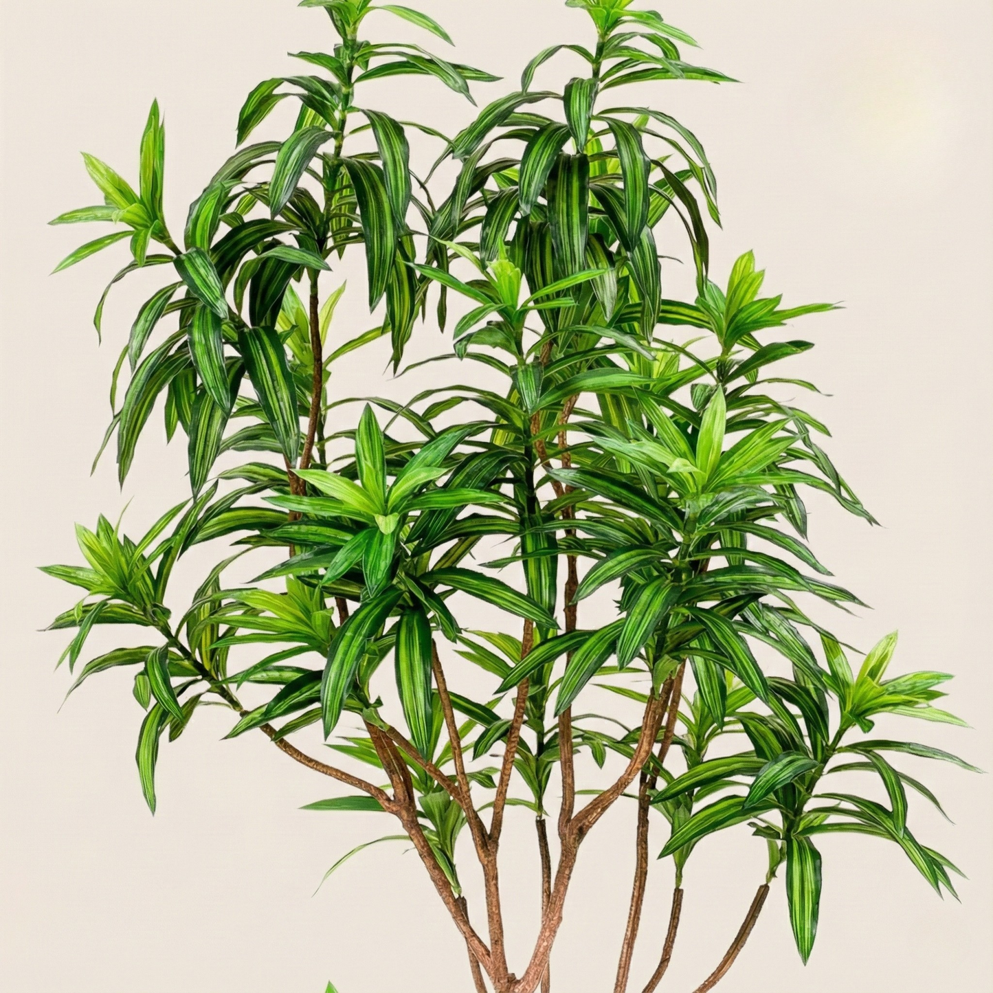 Kunstplant Dracaena (Drakenboom) - H 190 cm
