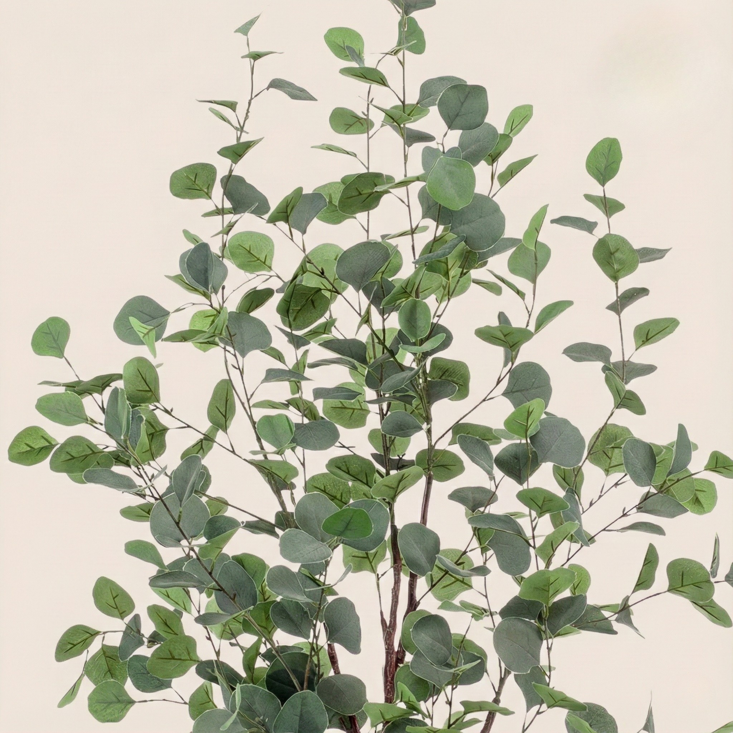 Kunstplant Eucalyptus (Blauwe Gomboom) - H 120 cm