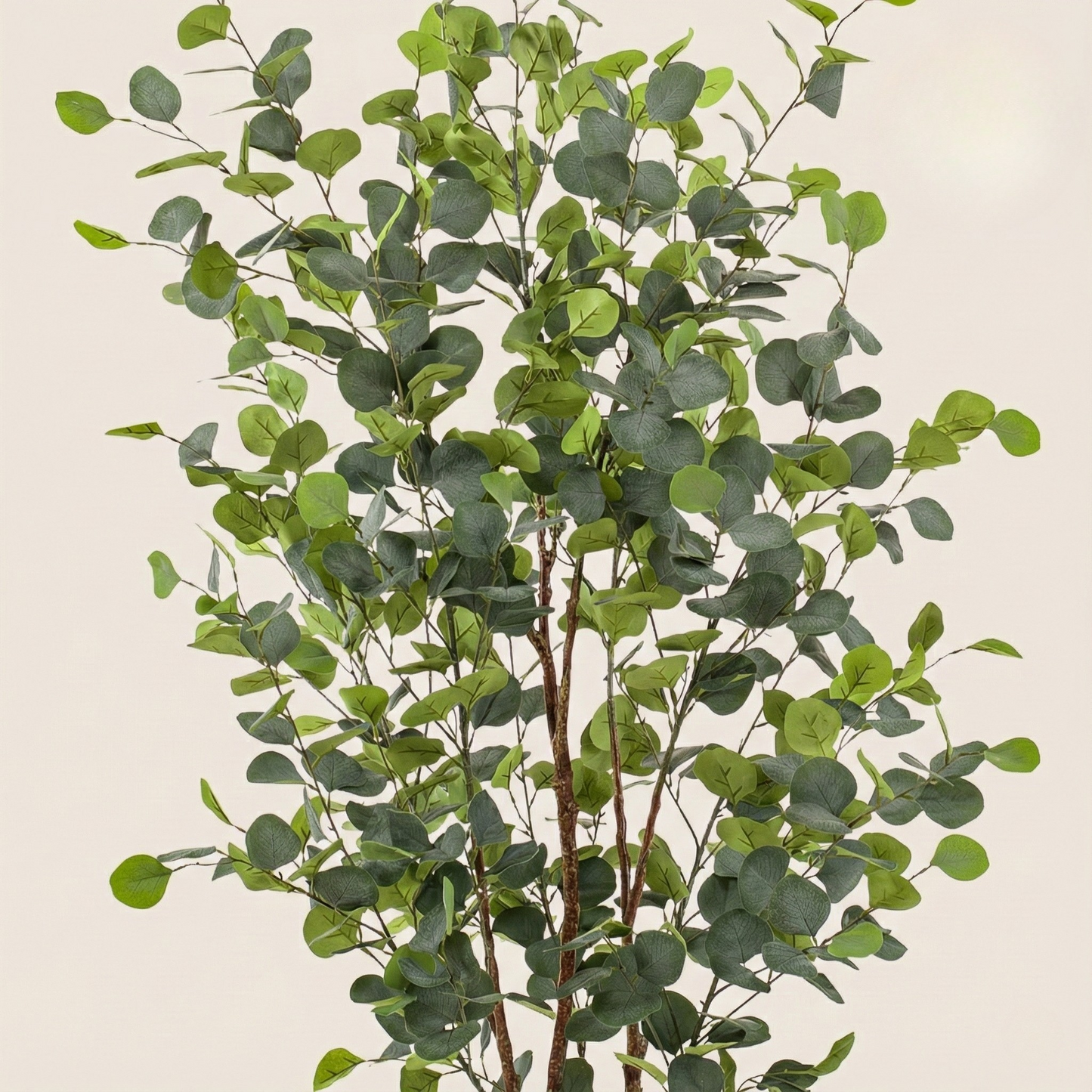 Kunstplant Eucalyptus (Blauwe Gomboom) - H 140 cm