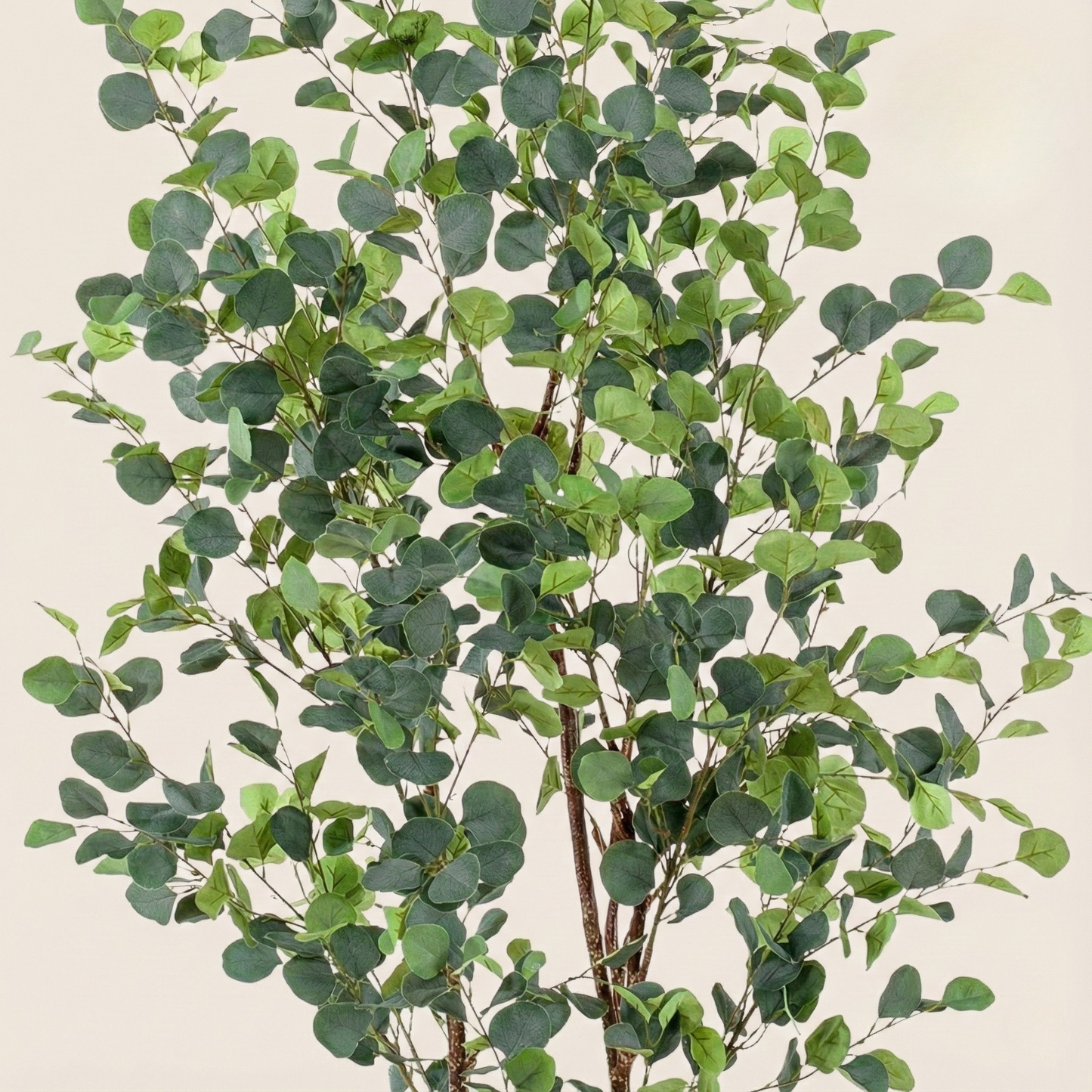 Kunstplant Eucalyptus (Blauwe Gomboom) - H 180 cm