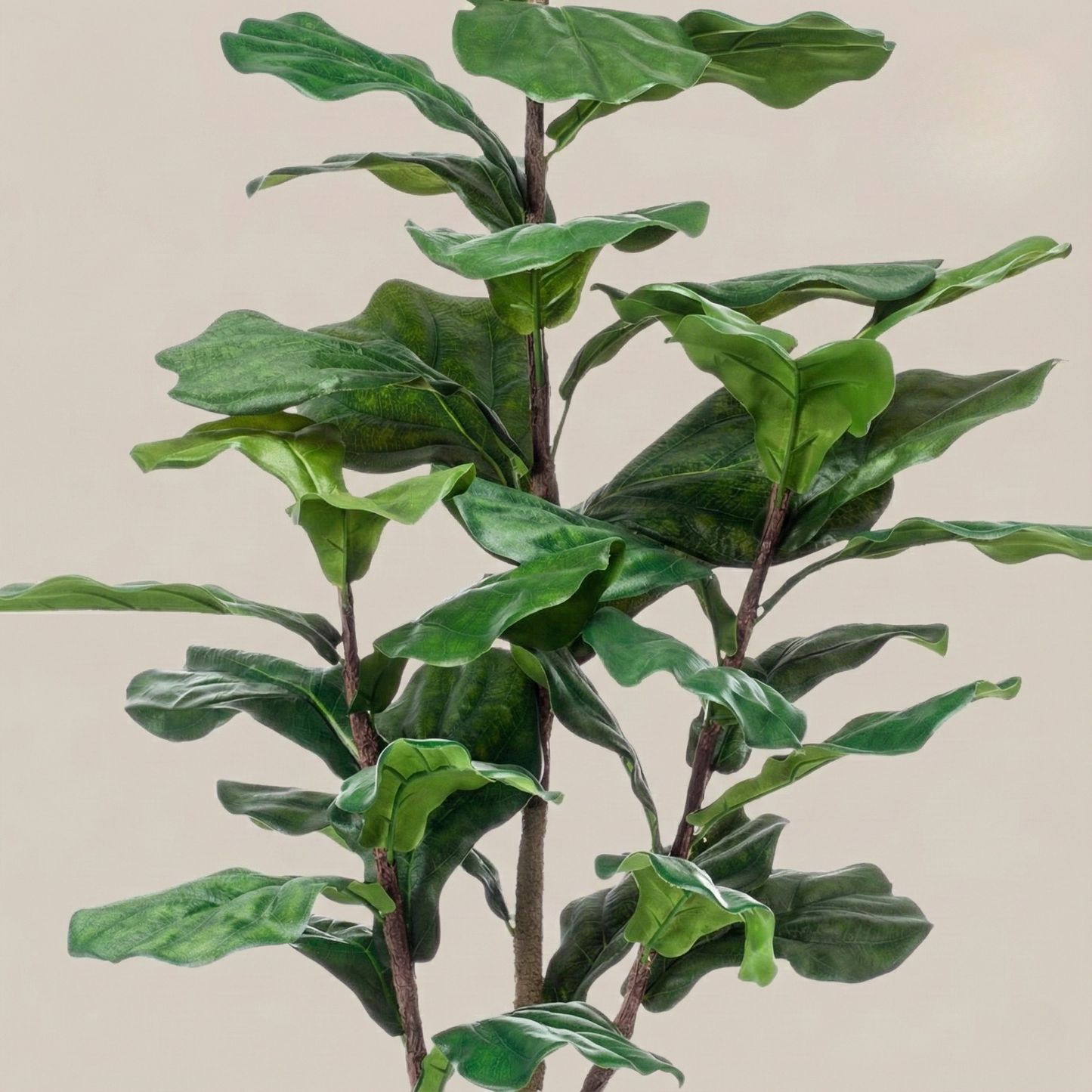 Kunstplant Ficus Lyrata (Tabaksplant) - H 120 cm