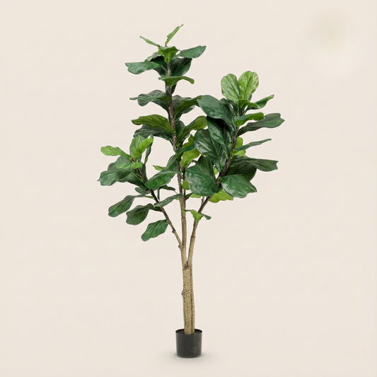 Kunstplant Ficus Lyrata (Tabaksplant) - H 180 cm