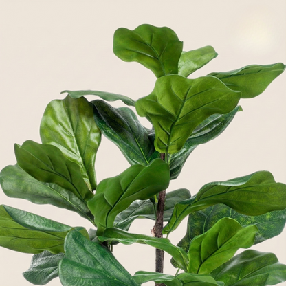 Kunstplant Ficus Lyrata (Tabaksplant) - H 90 cm