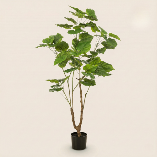 Kunstplant Ficus Umbellate (Afrikaanse Vijg) - H 125 cm