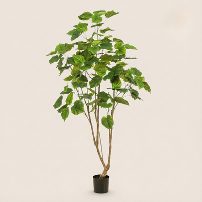 Kunstplant Ficus Umbellate (Afrikaanse Vijg) - H 125 cm