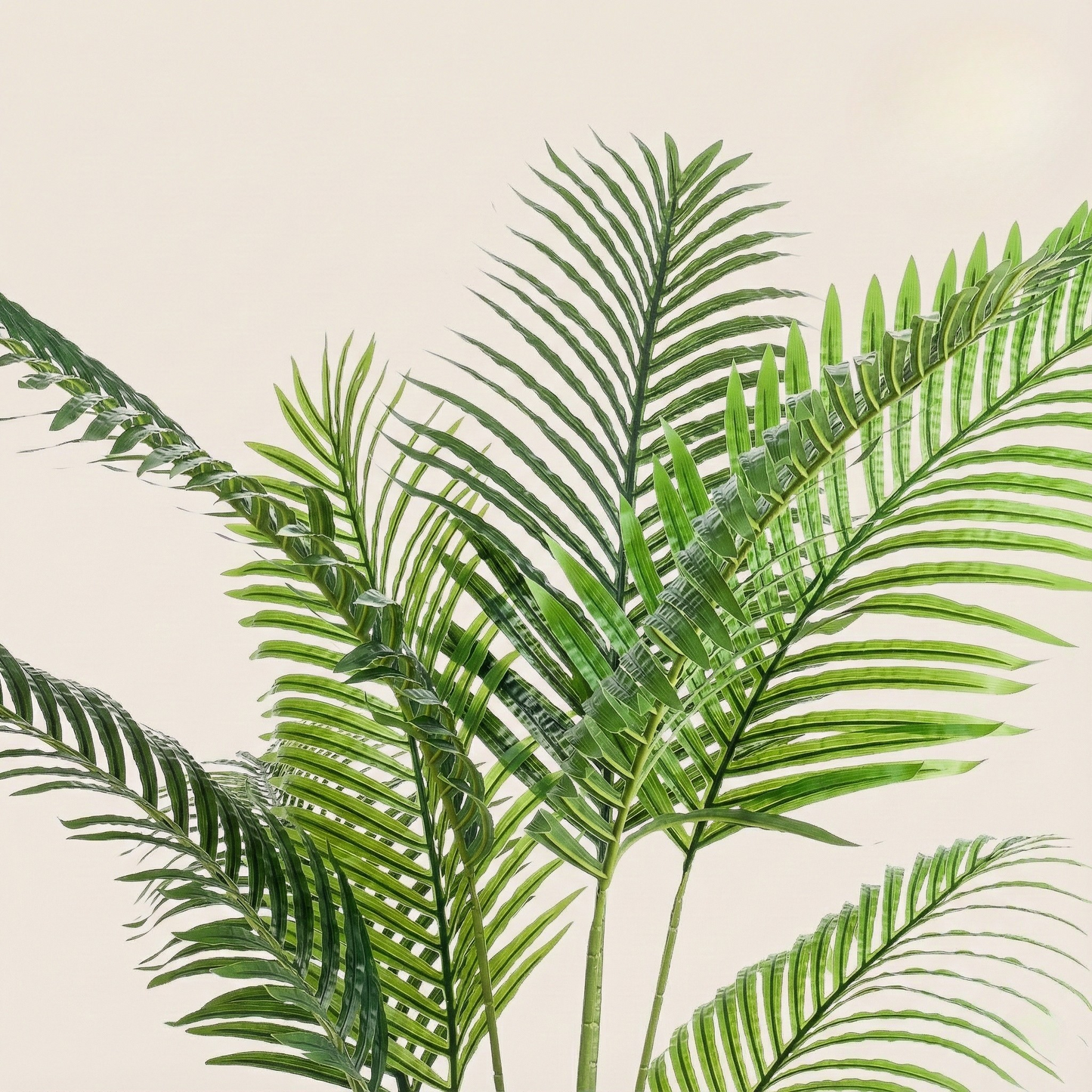 Kunstplant Howea Forsteriana - H 160 cm