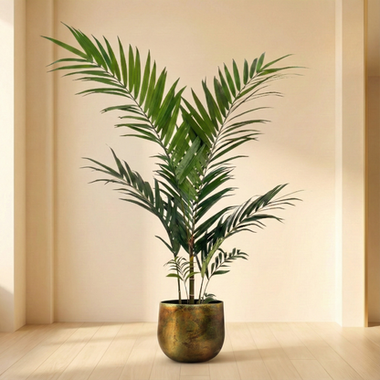 Kunstplant Kentia (Kentiapalm) - H 210 cm