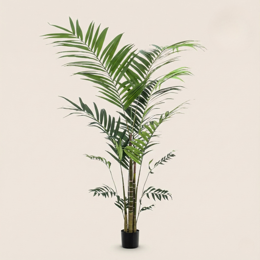 Kunstplant Kentia (Kentiapalm) - H 210 cm