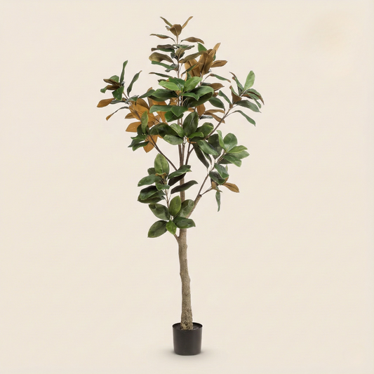 Kunstplant Magnolia Grandiflora - H 180 cm