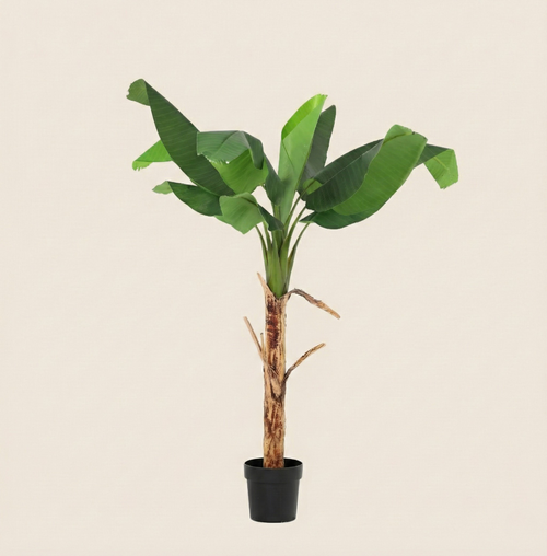 Kunstplant Musa (Bananenplant) - H 150 cm
