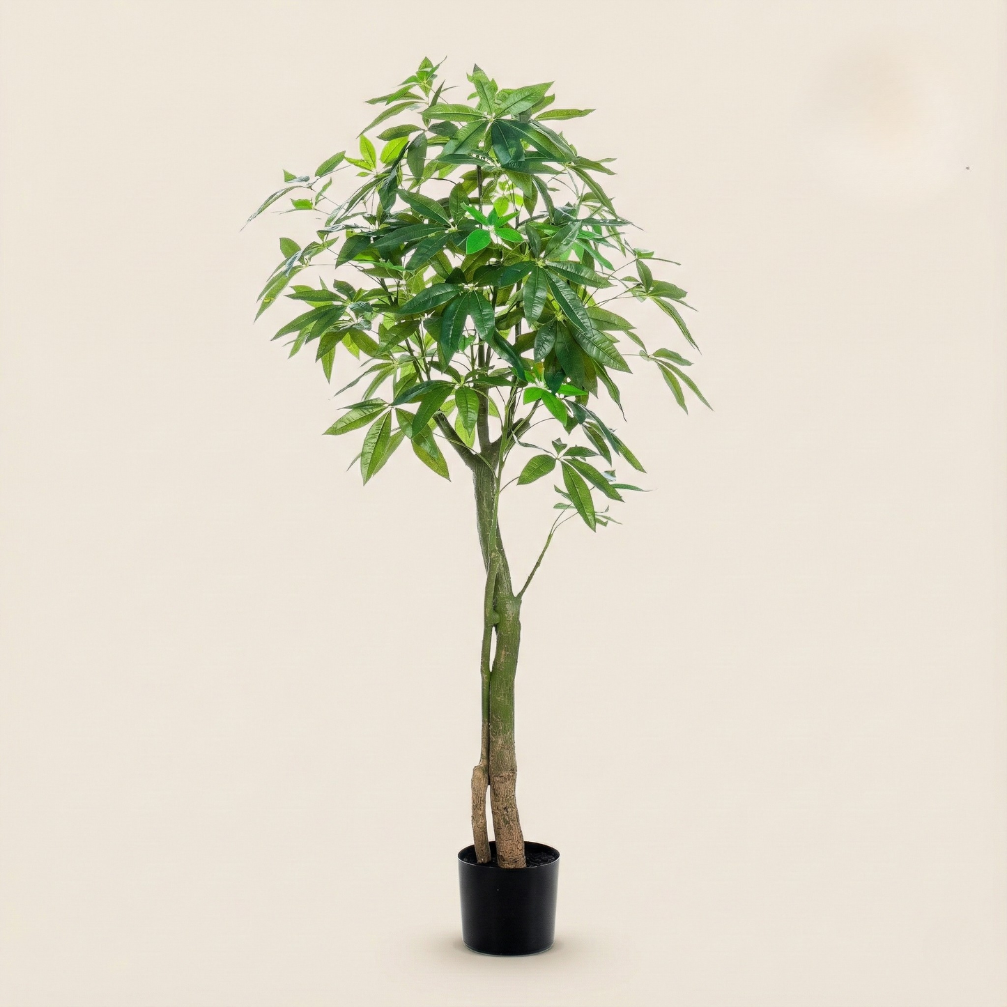 Kunstplant Pachira Aquatica (Geldboom) - H 180 cm