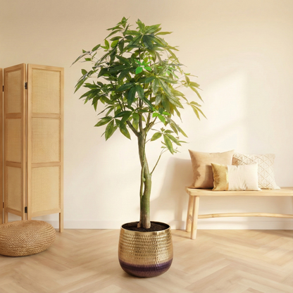 Kunstplant Pachira Aquatica (Geldboom) - H 90 cm