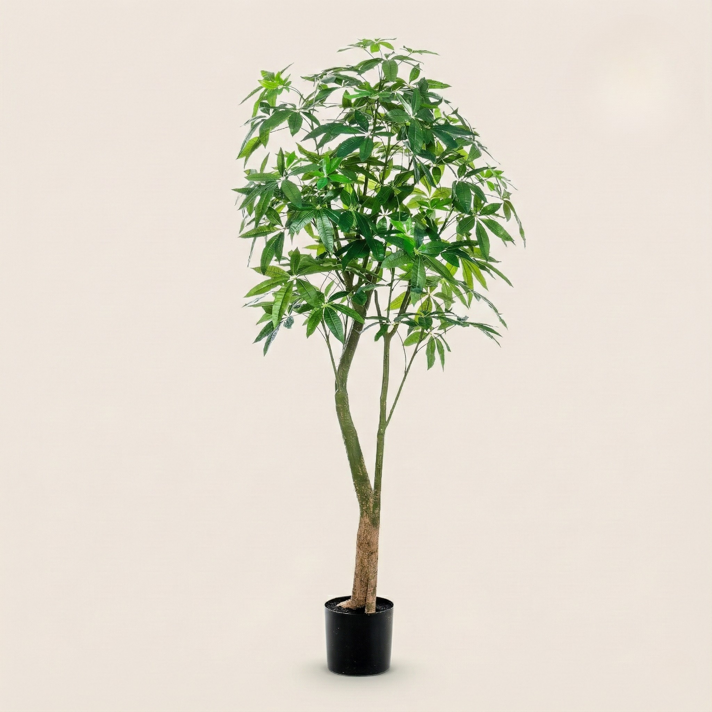 Kunstplant Pachira Aquatica (Geldboom) - H 90 cm