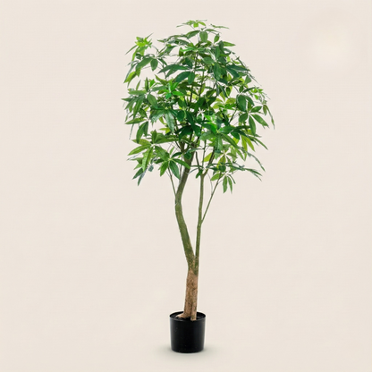Kunstplant Pachira Aquatica (Geldboom) - H 90 cm