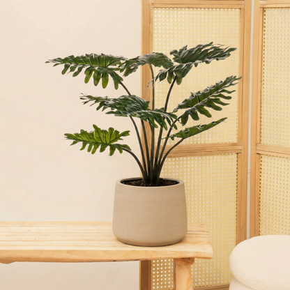 Kunstplant Philodendron - H 60 cm