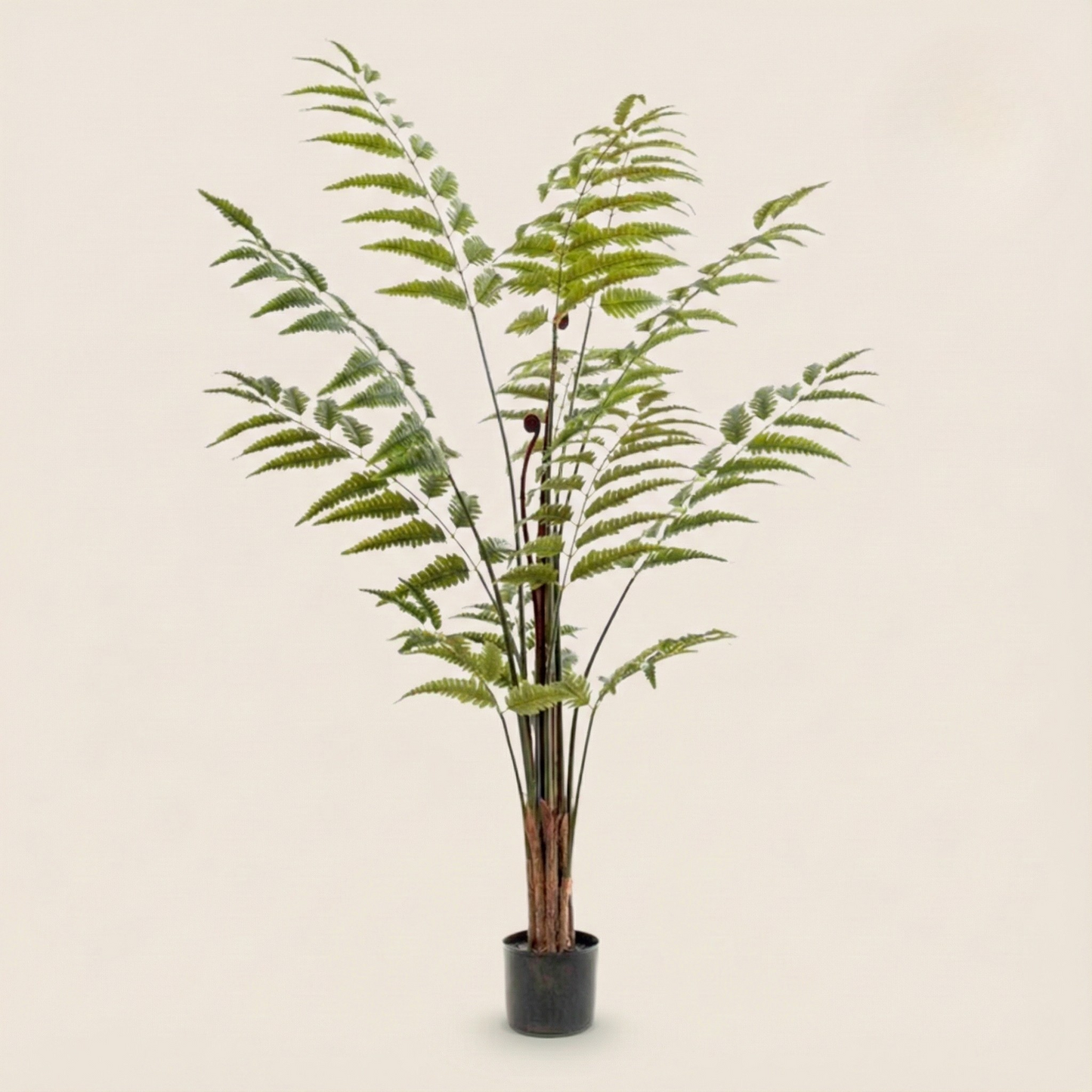 Kunstplant Rumohra Adiantiformis (Ledervaren) - H 180 cm