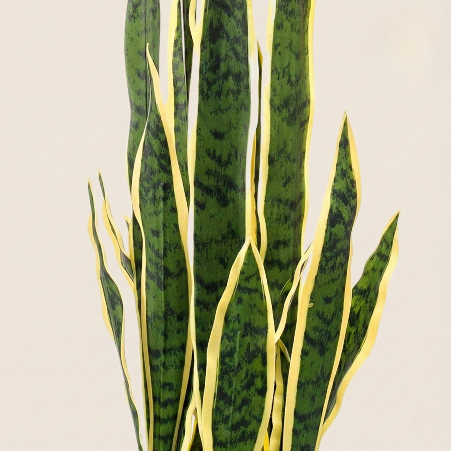 Kunstplant Sanseveria Trifasciata  (Vrouwentong) - H 97 cm