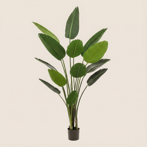 Kunstplant Strelitzia Nicolai (Paradijsvogelbloem) - H 190 cm