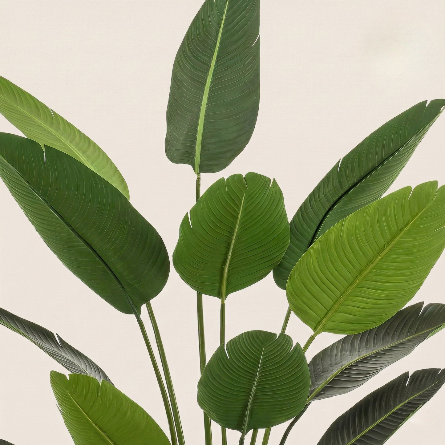 Kunstplant Strelitzia Nicolai (Paradijsvogelbloem) - H 190 cm