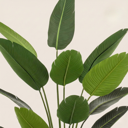 Kunstplant Strelitzia Nicolai (Paradijsvogelbloem) - H 190 cm