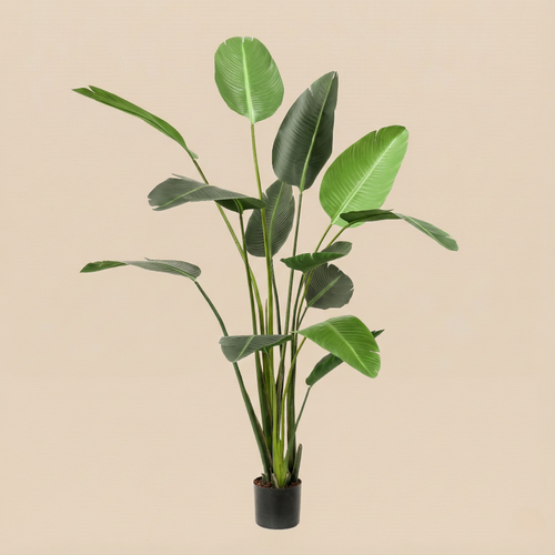 Kunstplant Strelitzia Nicolai (Paradijsvogelbloem) - H 230 cm