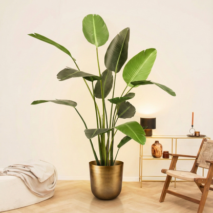 Kunstplant Strelitzia Nicolai (Paradijsvogelbloem) - H 190 cm