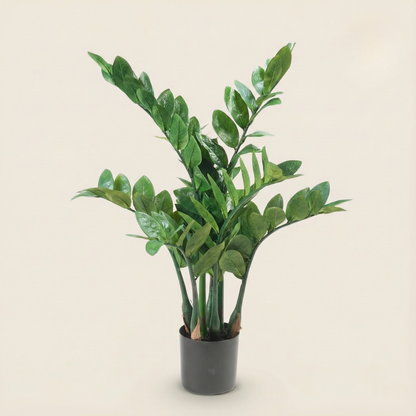 Kunstplant Zamioculcas (Kamerpalm) - H 70 cm