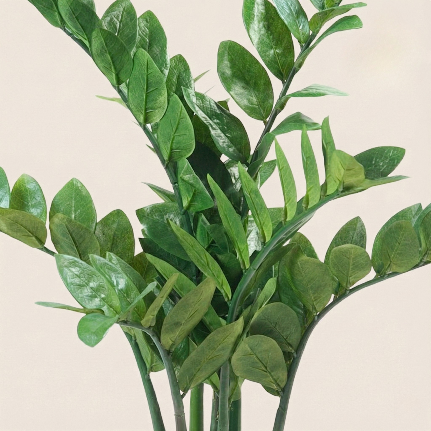Kunstplant Zamioculcas (Kamerpalm) - H 70 cm