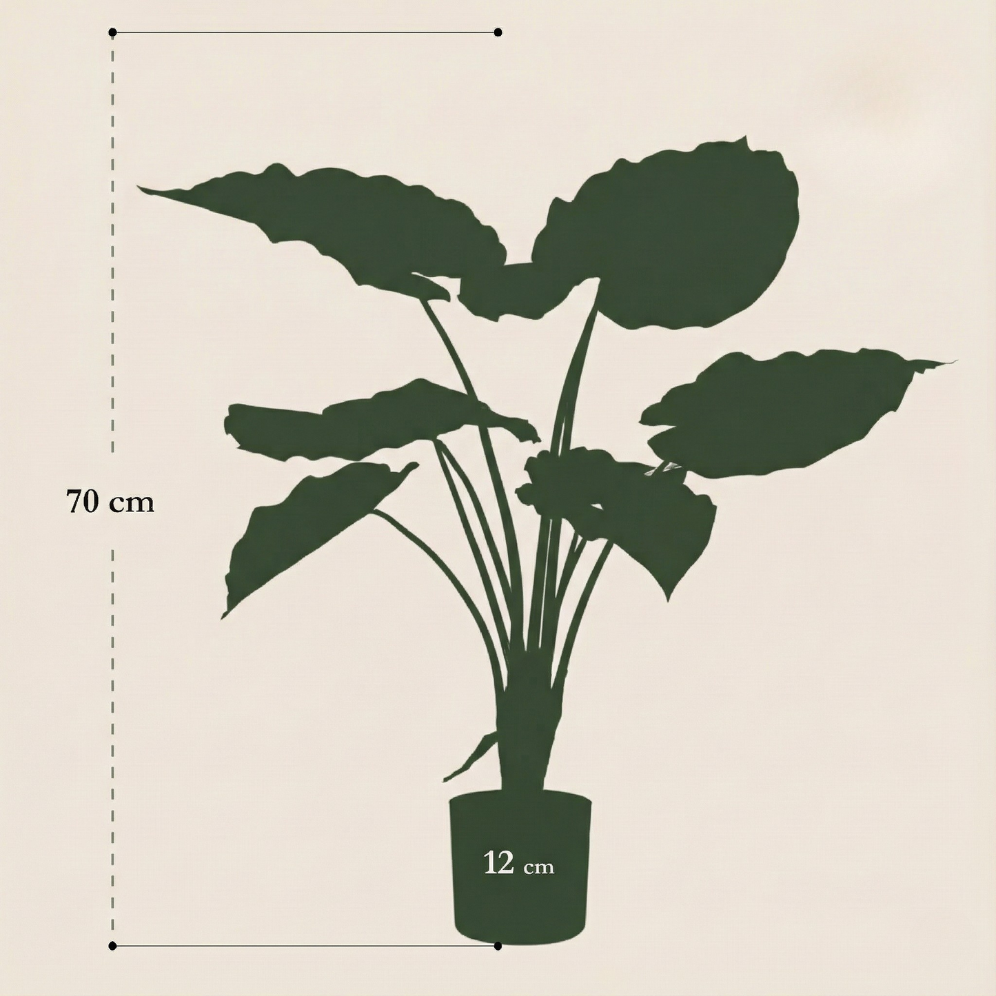 Kunstplant Alocasia (Olifantsoor) - H 70 cm