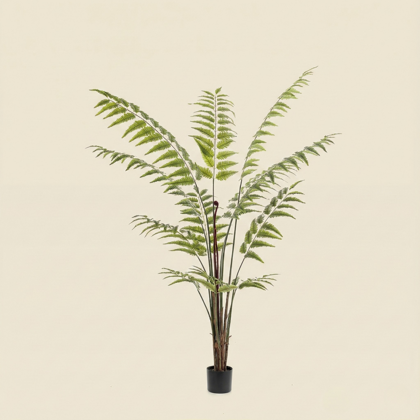 Kunstplant Rumohra Adiantiformis (Ledervaren) - H 180 cm