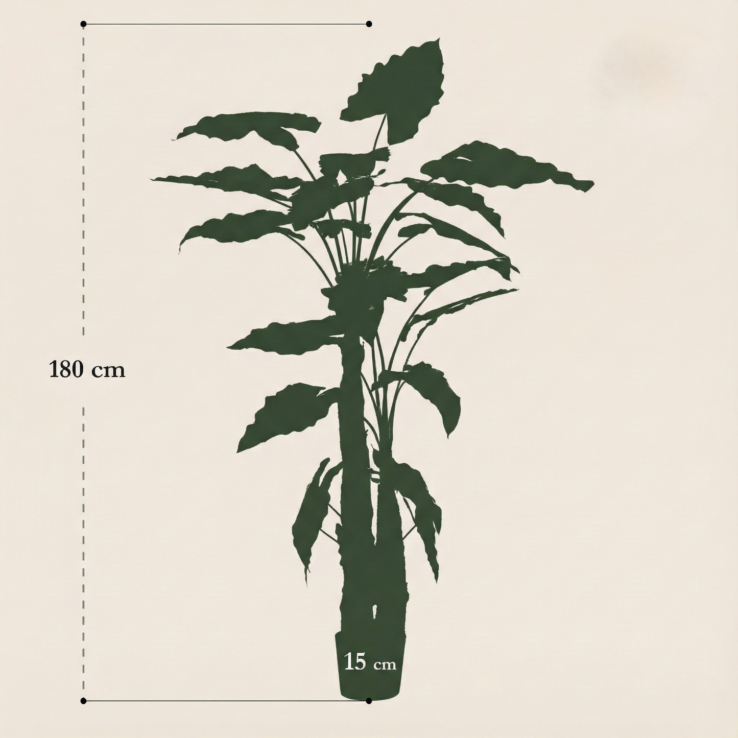 Kunstplant Alocasia (Olifantsoor) - H 180 cm