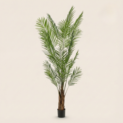 Kunstplant Areca Lutescens (Goudpalm) - H 180 cm