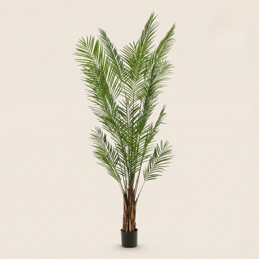 Kunstplant Areca Lutescens (Goudpalm) - H 240 cm