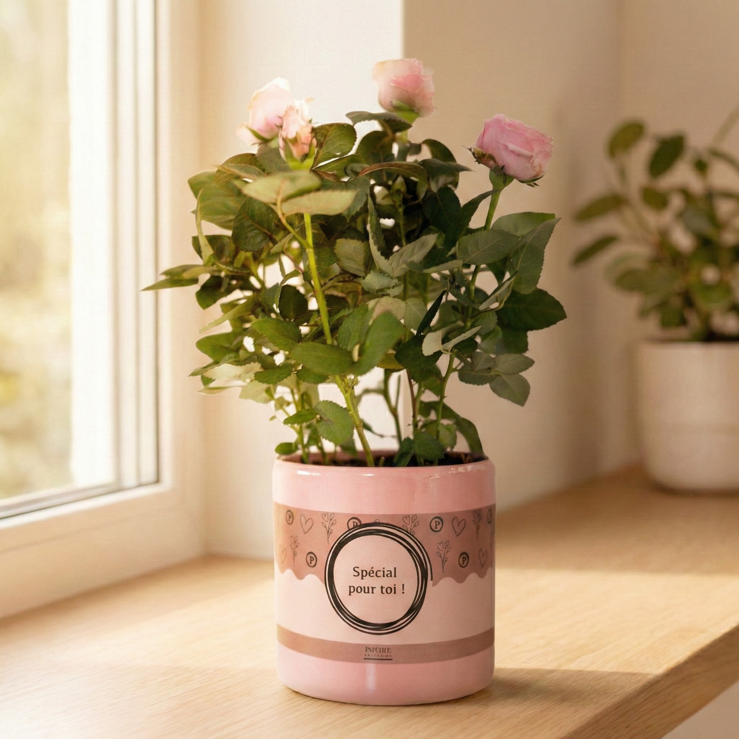 Rosa Light Pink Incl P&PURE Special pour toi
