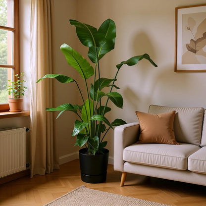 Strelitzia Nicolai Incl Elho Greenville Bloempot Zwart - H 160 cm - Ø 30 cm