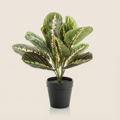 Kunstplant Maranta Groen - H 30 cm