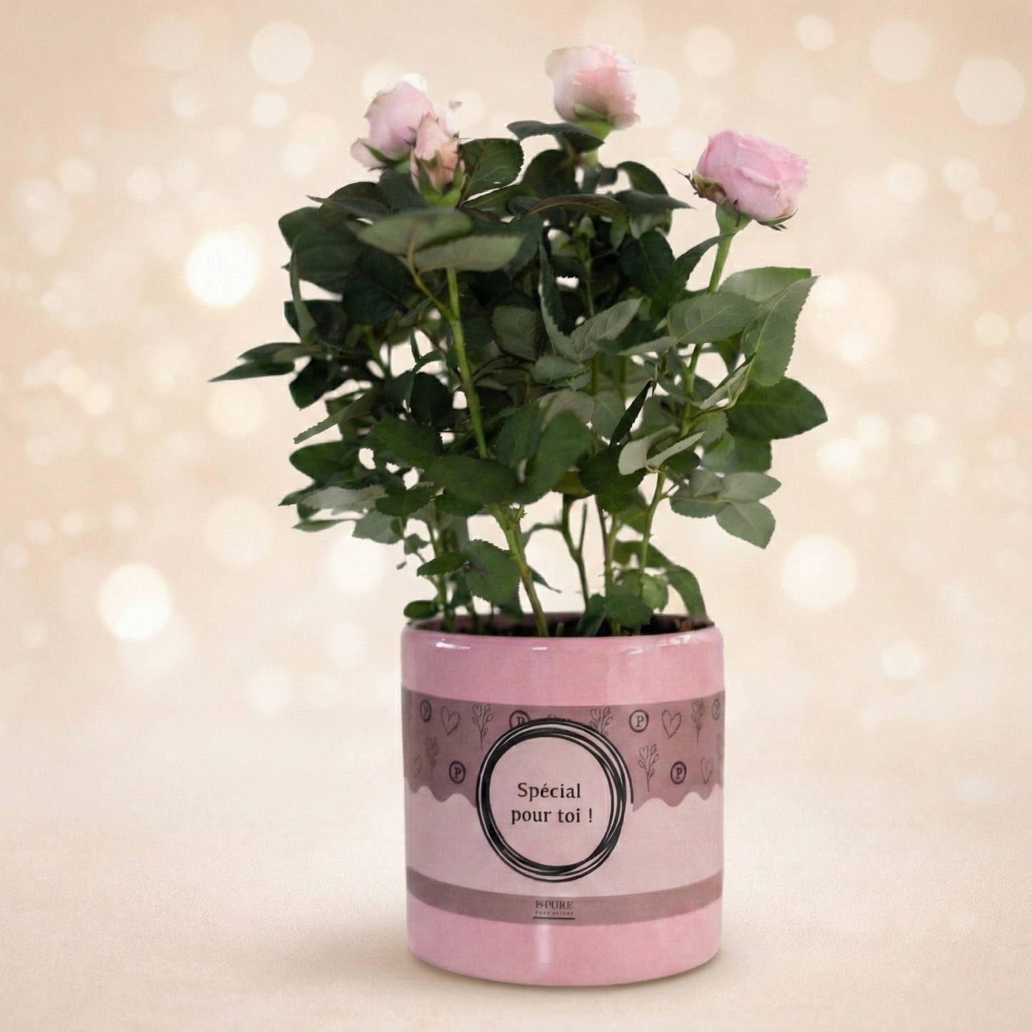 Rosa Light Pink Incl P&PURE Special pour toi