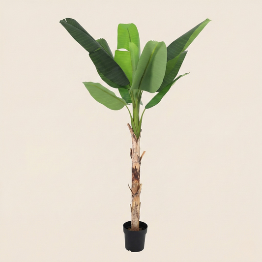 Kunstplant Musa (Bananenplant) - H 190 cm
