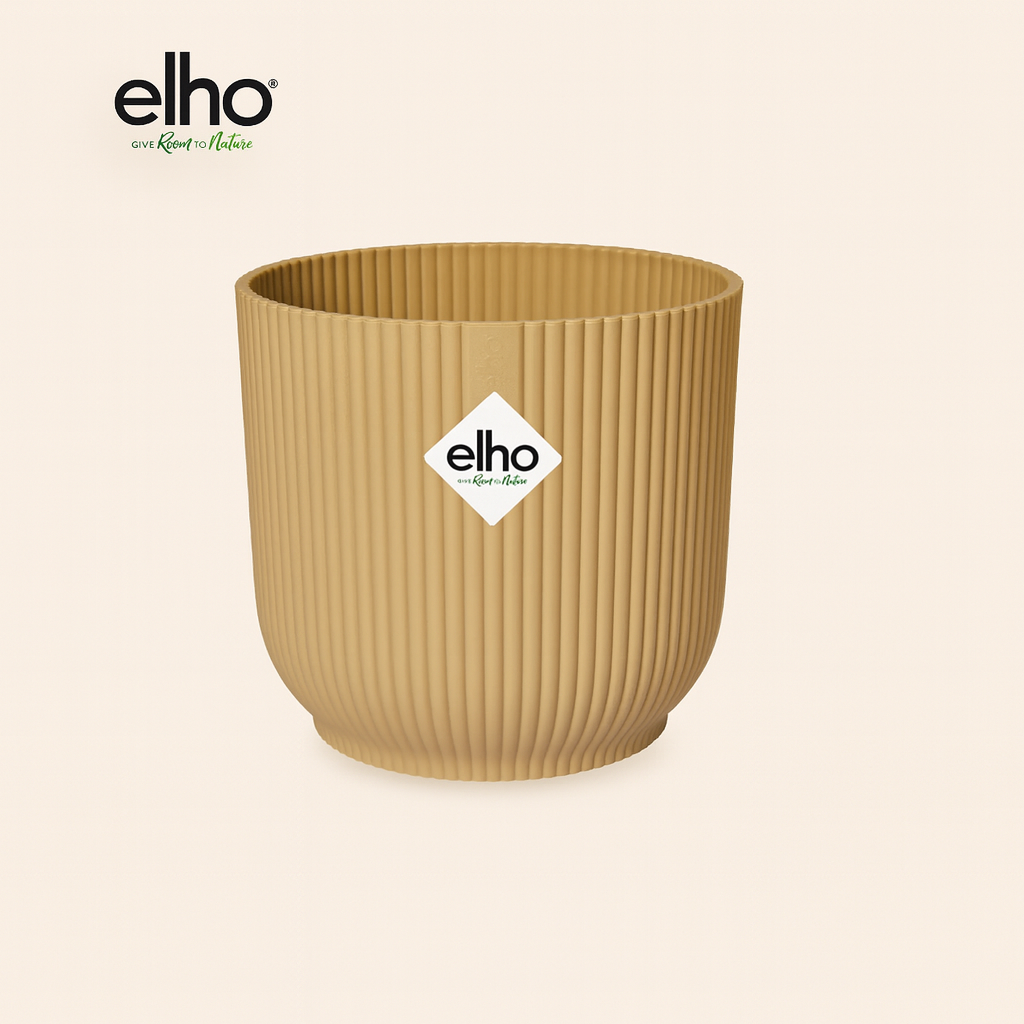 Ficus Lyrata Bambino Incl. Elho Vibes Geel - H 40 cm - Ø 14 cm