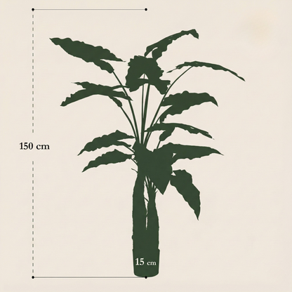 Kunstplant Alocasia (Olifantsoor) - H 150 cm