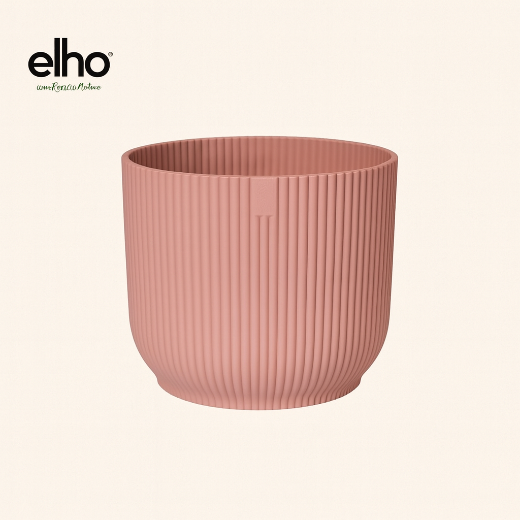 Ficus Lyrata Bambino Incl. Elho Vibes Roze - H 40 cm - Ø 14 cm