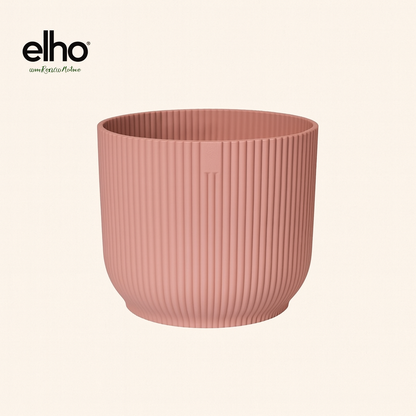 Ficus Lyrata Bambino Incl. Elho Vibes Roze - H 40 cm - Ø 14 cm