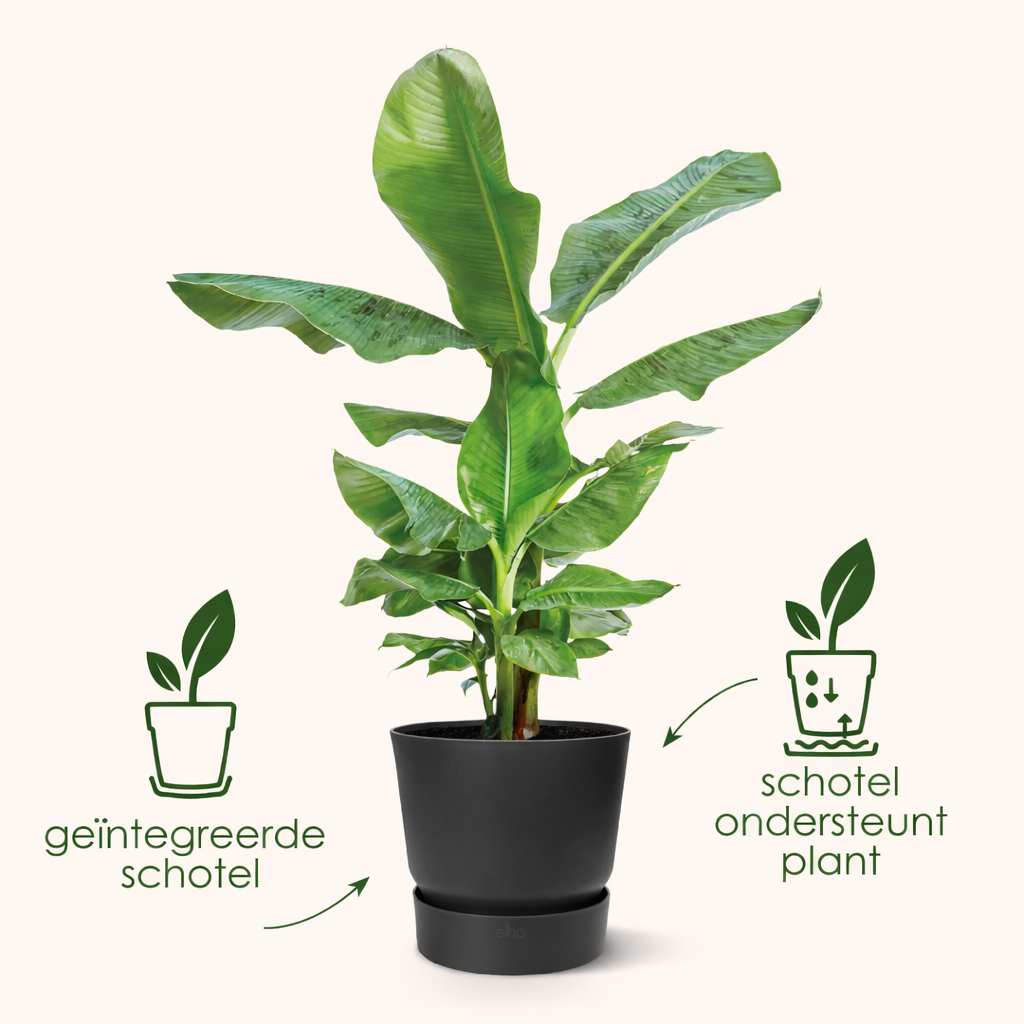 Pot Elho Greenville Round Zwart - D 18 cm