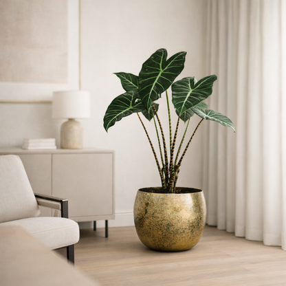 Pot Elly Brass - D 25 cm