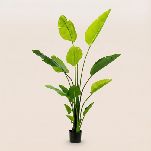 Kunstplant Strelitzia Nicolai (Paradijsvogelbloem) - H 150 cm