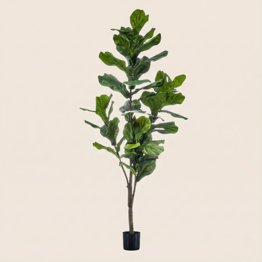 Kunstplant Ficus Lyrata (Tabaksplant) - H 150 cm