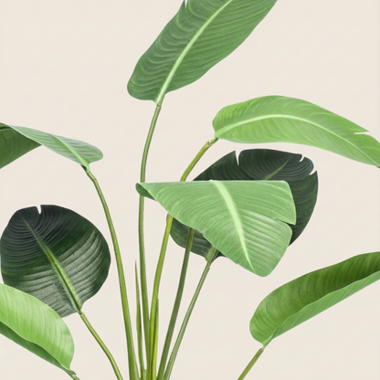 Kunstplant Strelitzia nicolai (Paradijsvogelbloem) - H 120 cm